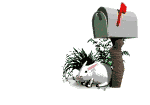 E-Mail ...